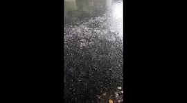 Blackchin  tilapia fish invade waterways in Bangkok