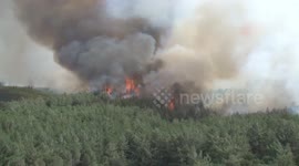 Wildfires in W. Türkiye contained: minister