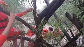 NDRF team rescues individual from flood in western India