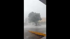 Tree branches fall on car during severe storm in Guadalajara