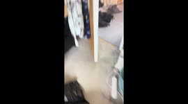 Cat's hilarious grocery bag antics captured in Surrey