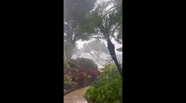 Thunderstorm hits Palm City, Florida