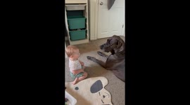 Baby gives dog a kiss but the dog's reaction is totally unexpected