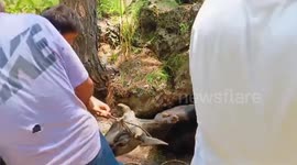 Uttrakhand Fire Service team descended into the cave and rescued Pulled out from rope a cow