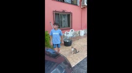 Charming lad is overwhelmed with delight when dad surprises him with his favorite bicycle