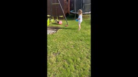 Adorable dog playing football, ends with unexpected bucket incident