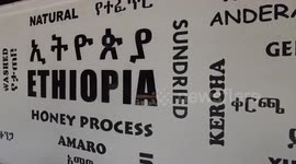 From bean to cup, hopping on coffee tour in Ethiopia