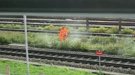 Workers Dance While Cutting Grass
