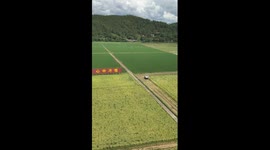 Harvesting rice at unmanned farm in China's Guangdong