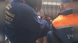 Dog stuck in radiator rescued in Russia