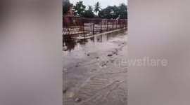Incredible moment locals use nets to catch fish on flooded roads in India