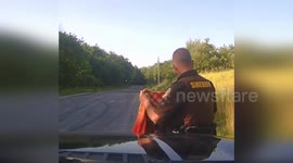 Cops rescue injured bald eagle on roadside in Michigan