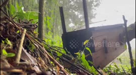 Brazil: Military Brigade Rescues White-Eared Opossum in Erechim