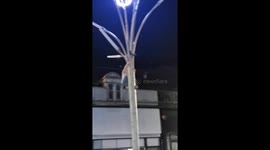 Good Samaritan bravely climbs lamppost to free trapped seagull