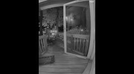 Georgia residents flee from cockroach encounter in home video