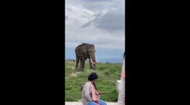 Elephant causes panic at Gundlupete temple, Karnataka