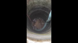 Efforts to rescue cow trapped in well in Jokarto Village, East Java