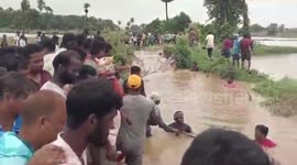 India: Heavy rains bring fish bounty to crop fields in southern India, sparking local frenzy