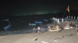 Excited tourists make a splash collecting fish on beach