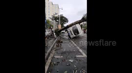 Powerful winds uproot tree, crushing truck as typhoon Prapiroon makes landfall in southern China