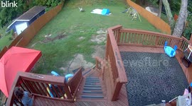 Falling tree narrowly misses boy playing in backyard