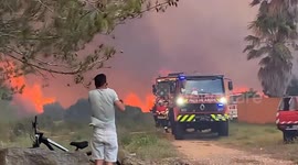 Firefighters battle massive forest fire in Alcabideche, Portugal
