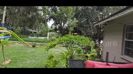 Ginger Kitty Risks it All to Get the Squirrel, but Fails Hilarously