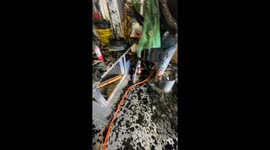 Oil Spill Aftermath