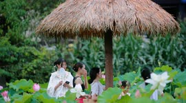 China: Tourists Enjoy Blooming Lotus Flowers in A Lotus Field in Chongqing