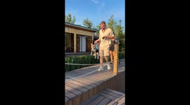 French Bulldog Is Not a Natural Swimmer