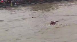 India: Police and SDRF team save devotees from drowning