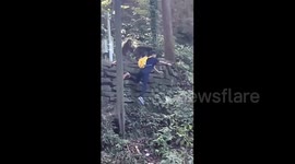 Chinese boy falls from height after monkey snatches food at Mount Emei