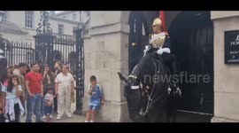 Tourist collapses after being bitten by King's Guard horse in London