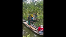 Boat sways, woman falls in Đồng Tháp Garden visit