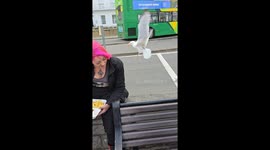 Seagull steals chips and gets hit by car in Weymouth, Dorset