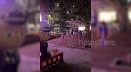 Funny video of pup exercising at outdoor gym