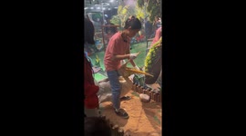 Duck swallowed by pelican in Chinese zoo rescued by staff