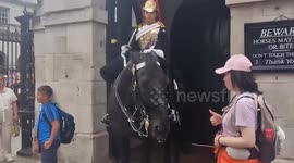 Shocking moment tourist gets bitten by King's Guard horse while posing for picture