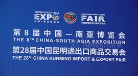 China-South Asia Expo boosts regional trade: Cambodian official