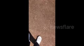 Uganda: Heavy Security Patrols In Kampala As Protests Mount