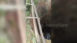 Nilgai rescued from 20 foot well in northern India