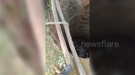 India: Nilgai rescued from 20 foot well in northern India