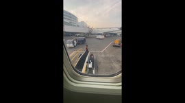 Raw Salmon Fillet Confuses Airport Employees