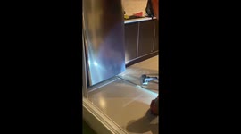 Firemen catch snake under family's fridge