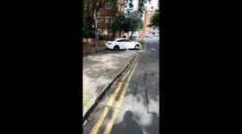 Unexpected encounter: Man finds a damaged Mercedes on the roadside