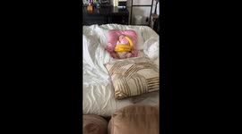 Bananas Hold Up Baby Bottle