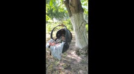 Baby Sleeps Under Garden Tree