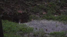 Severe Flash Flood in Gwinnett