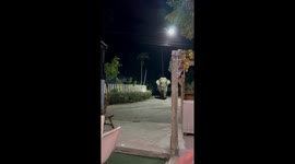 Wild elephant charges through village in the middle of the night
