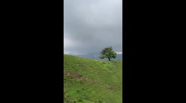 Jogger chases off mountain path by two rampaging cows